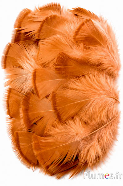 Tacchino bronzo - sbiancato - 5-15 cm - rosa salmone-caramello